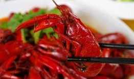 宁波爆料小龙虾视频播放,揭秘当地美食魅力
